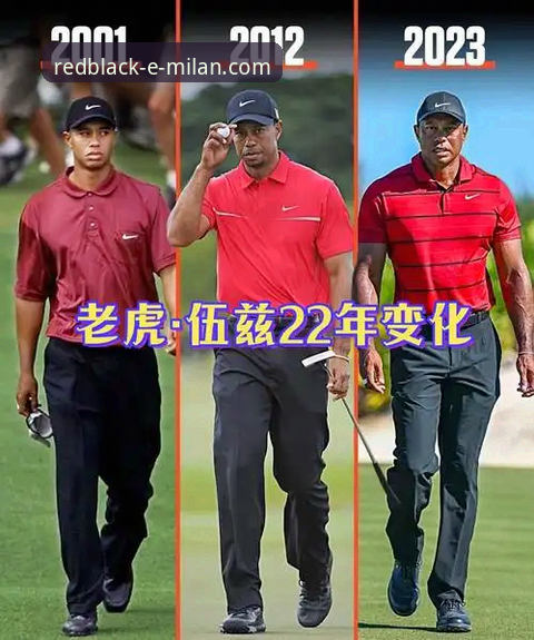 Tiger Woods药物影响驾驶事件深度评测：从赛场传奇到健康危机